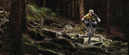 hamsterley mountain biking.jpg_1545428793